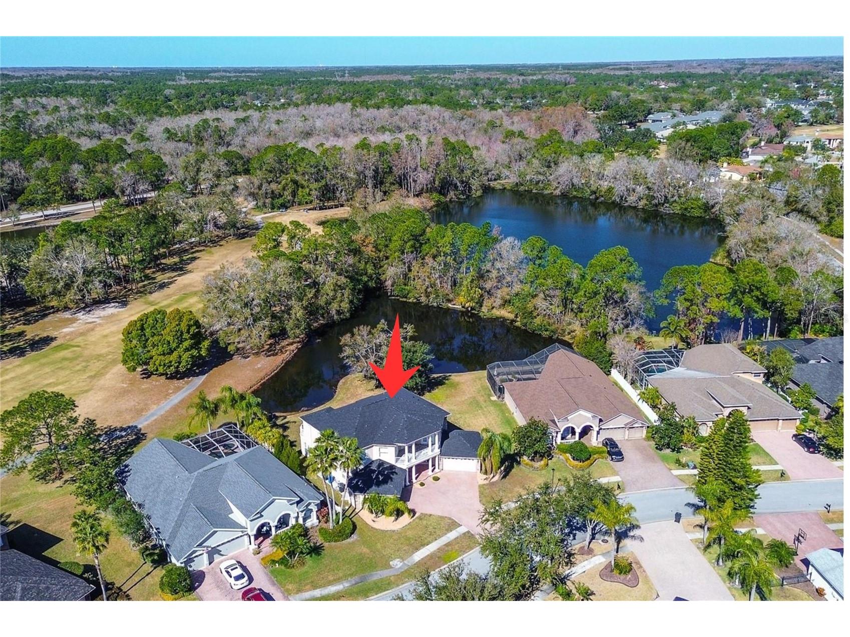 15906 Prince William Place Odessa FL 33556 TB8473775 image70