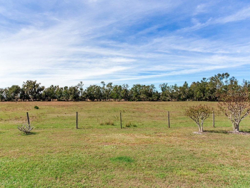 15907 Carlton Lake Road Wimauma FL 33598 TB8456545 image28