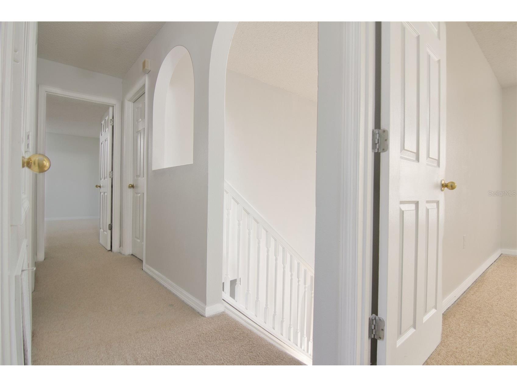 15907 Wilkinson Drive Clermont FL 34714 O6411294 image13