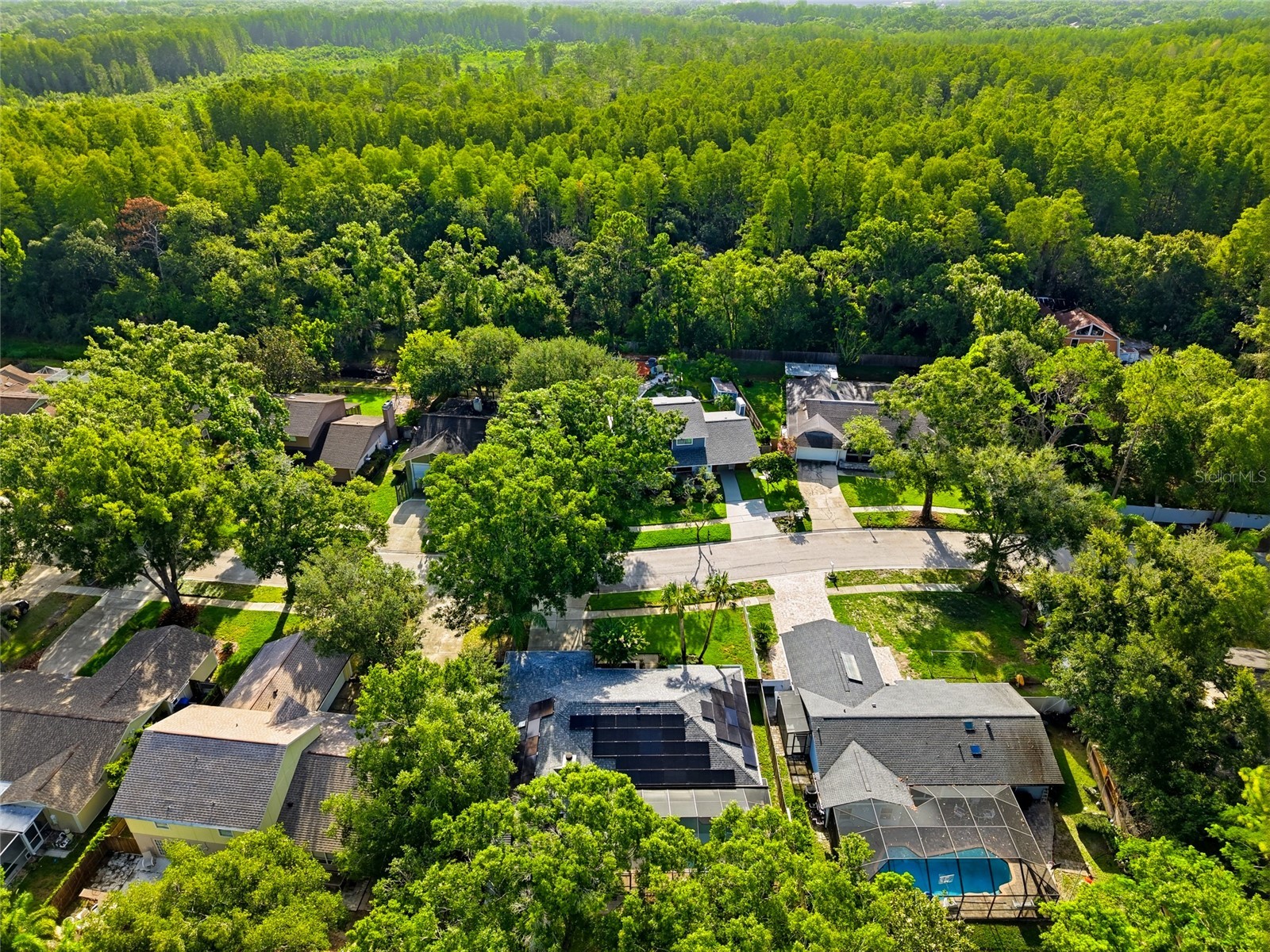 15908 Hampton Village Drive Tampa FL 33618 TB8529302 image42