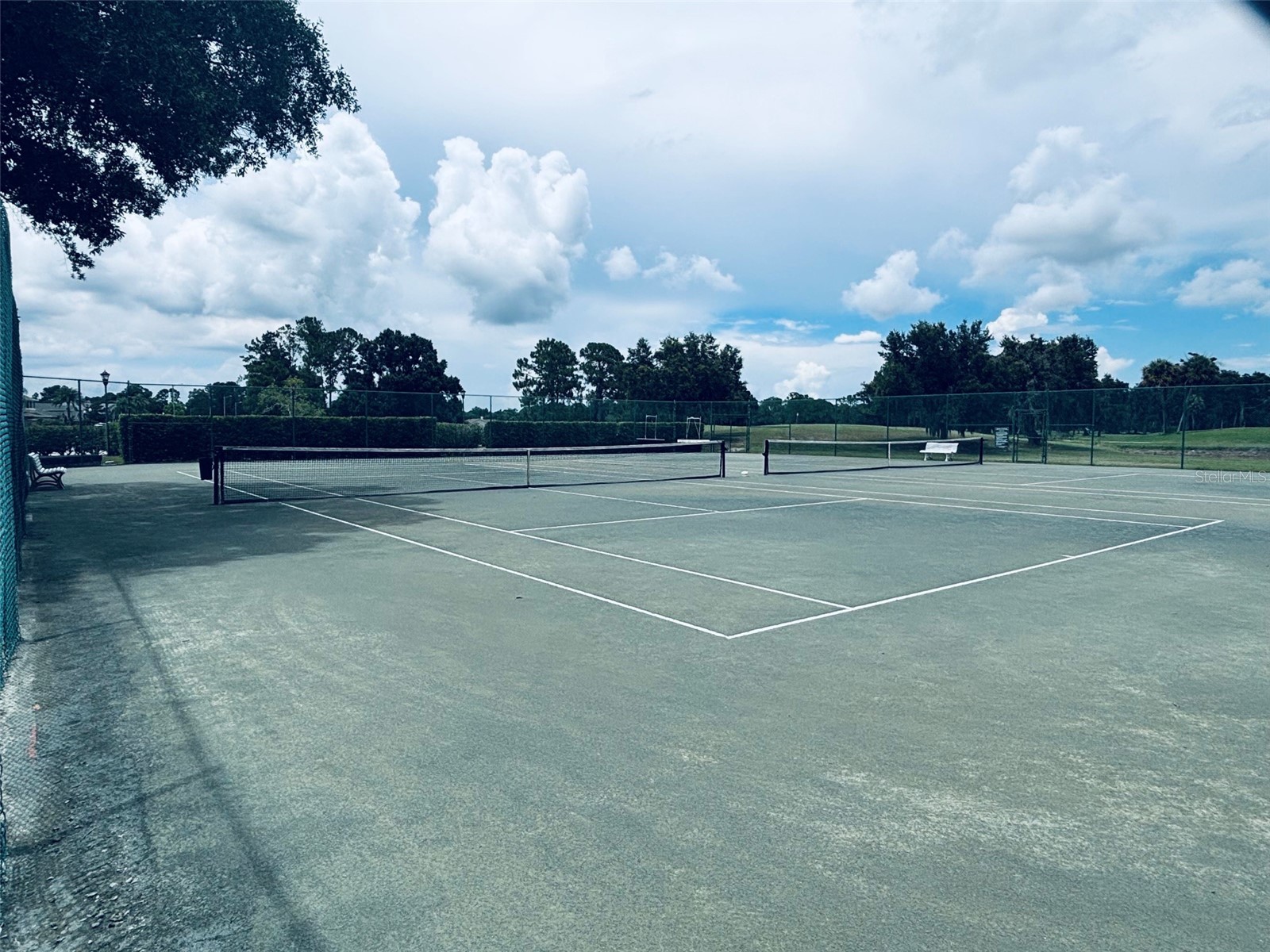 15908 King James Court Odessa FL 33556 TB8524554 image31