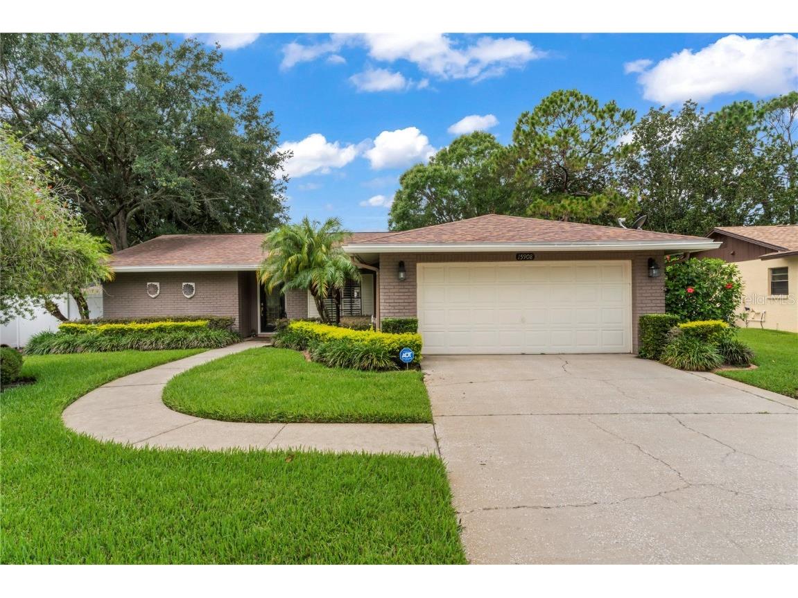 15908 Mystic Way Tampa FL 33624 T3455061 image1