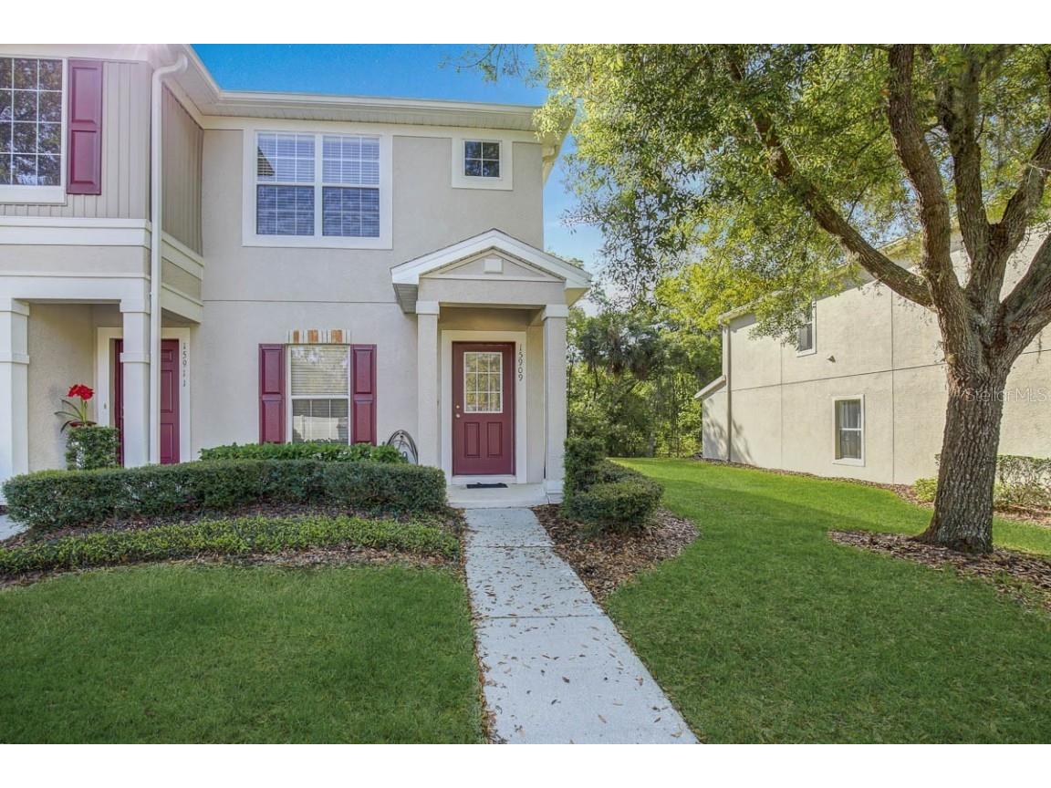15909 Fishhawk View Drive Lithia FL 33547 TB8415587 image1