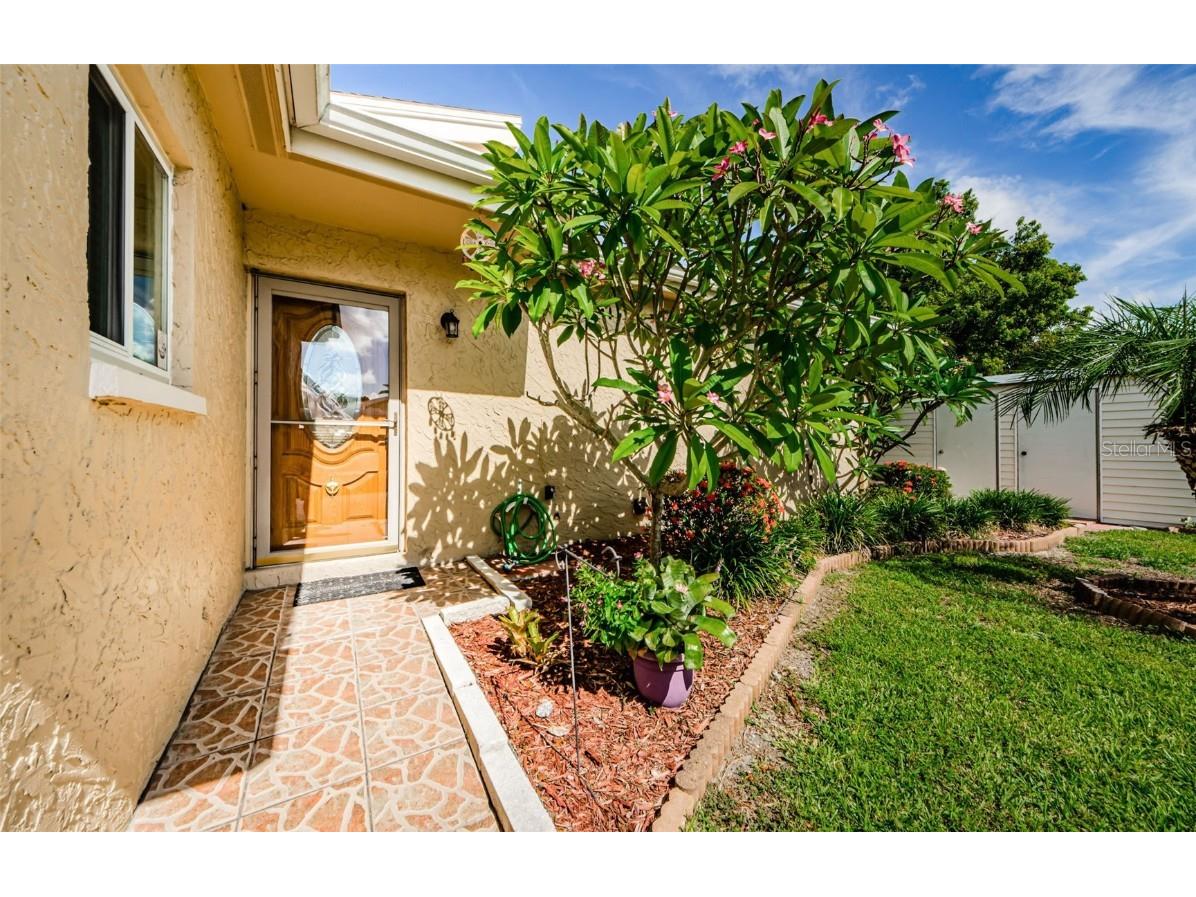 1591 Amberlea Drive S Dunedin FL 34698 U8254808 image1