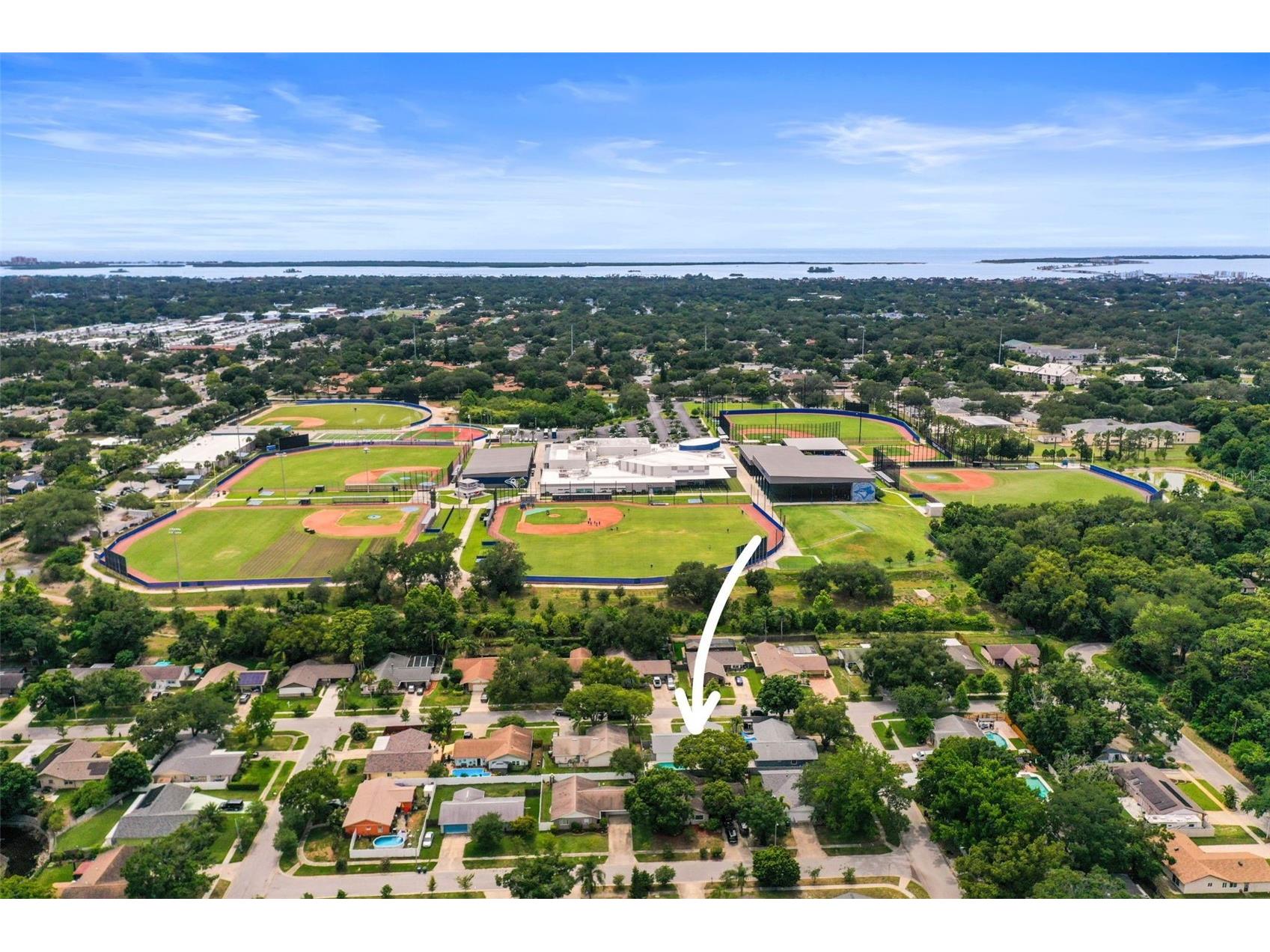 1591 Cottonwood Terrace Dunedin FL 34698 TB8517707 image38