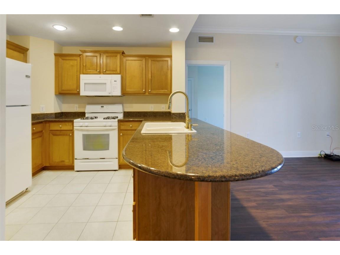 1591 Heritage Crossing Court #101 Reunion FL 34747 S5139078 image5