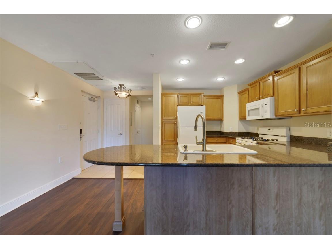 1591 Heritage Crossing Court #101 Reunion FL 34747 S5139078 image7