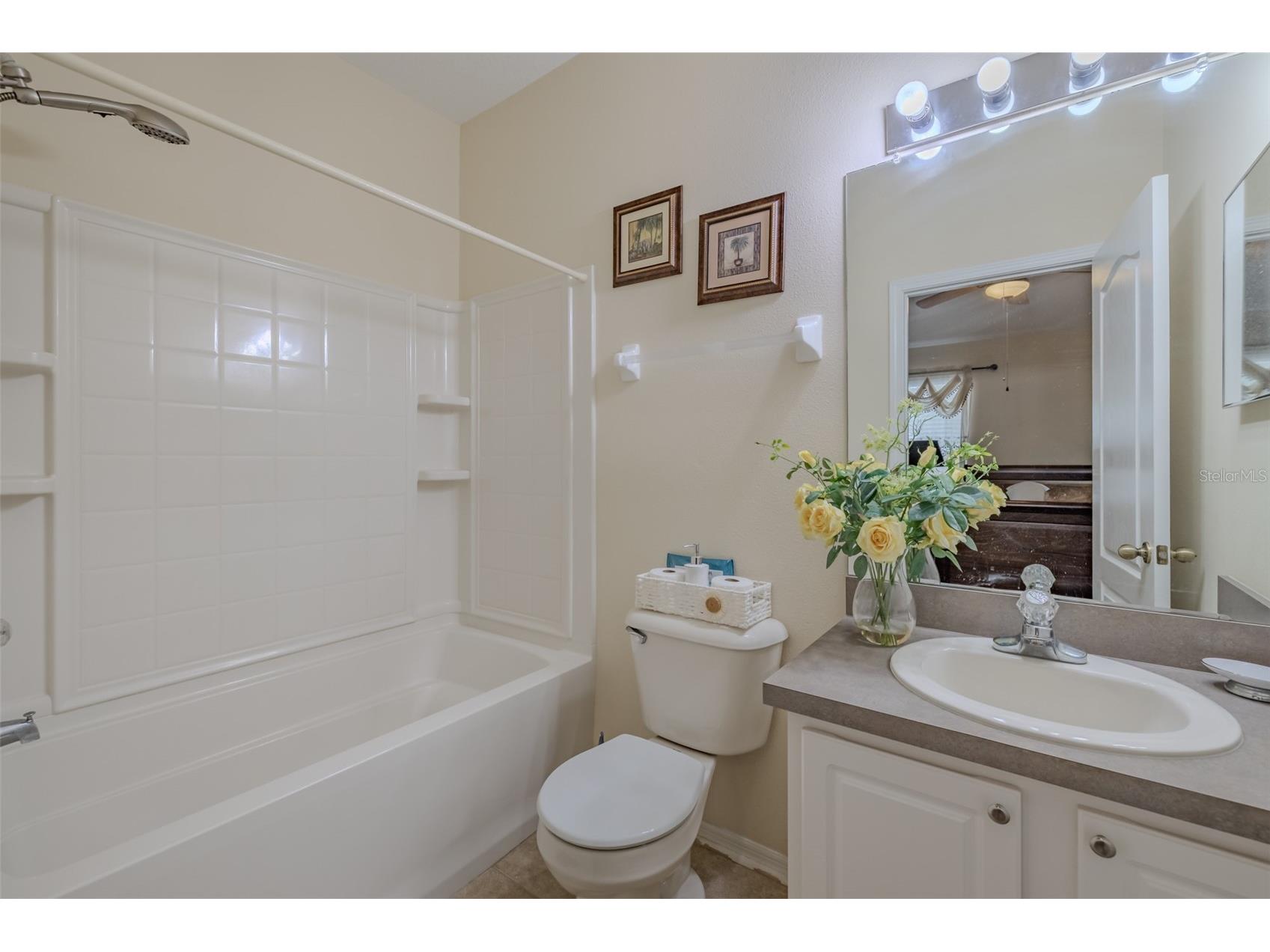 15911 Fishhawk View Drive Lithia FL 33547 TB8514768 image17