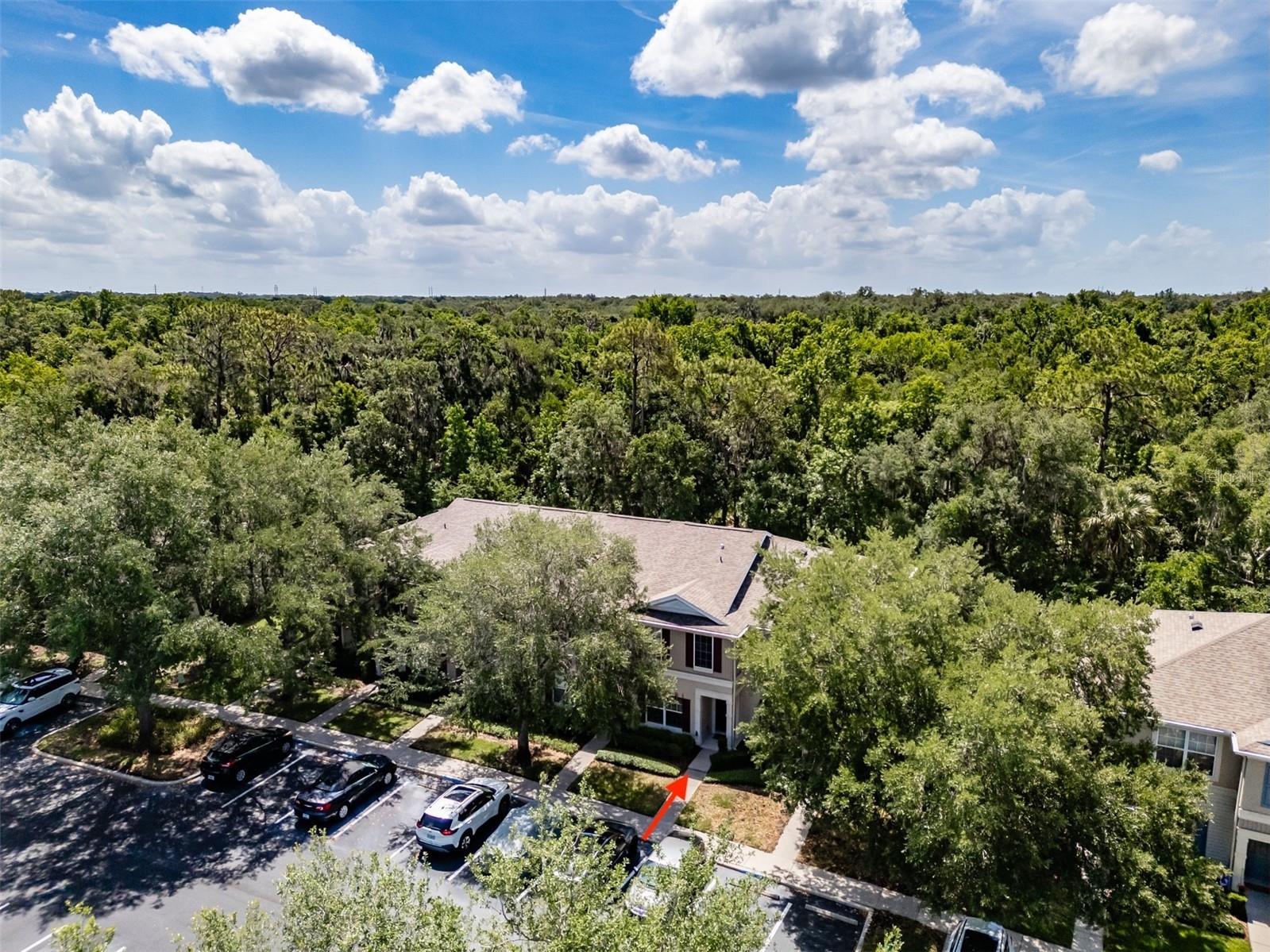 15911 Fishhawk View Drive Lithia FL 33547 TB8514768 image29