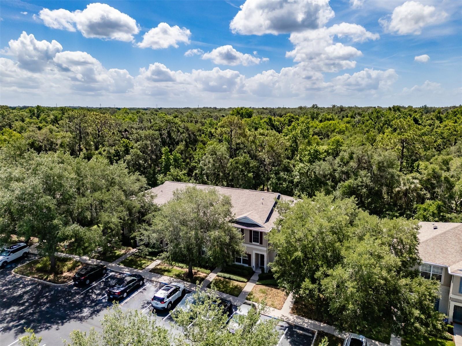 15911 Fishhawk View Drive Lithia FL 33547 TB8514768 image30