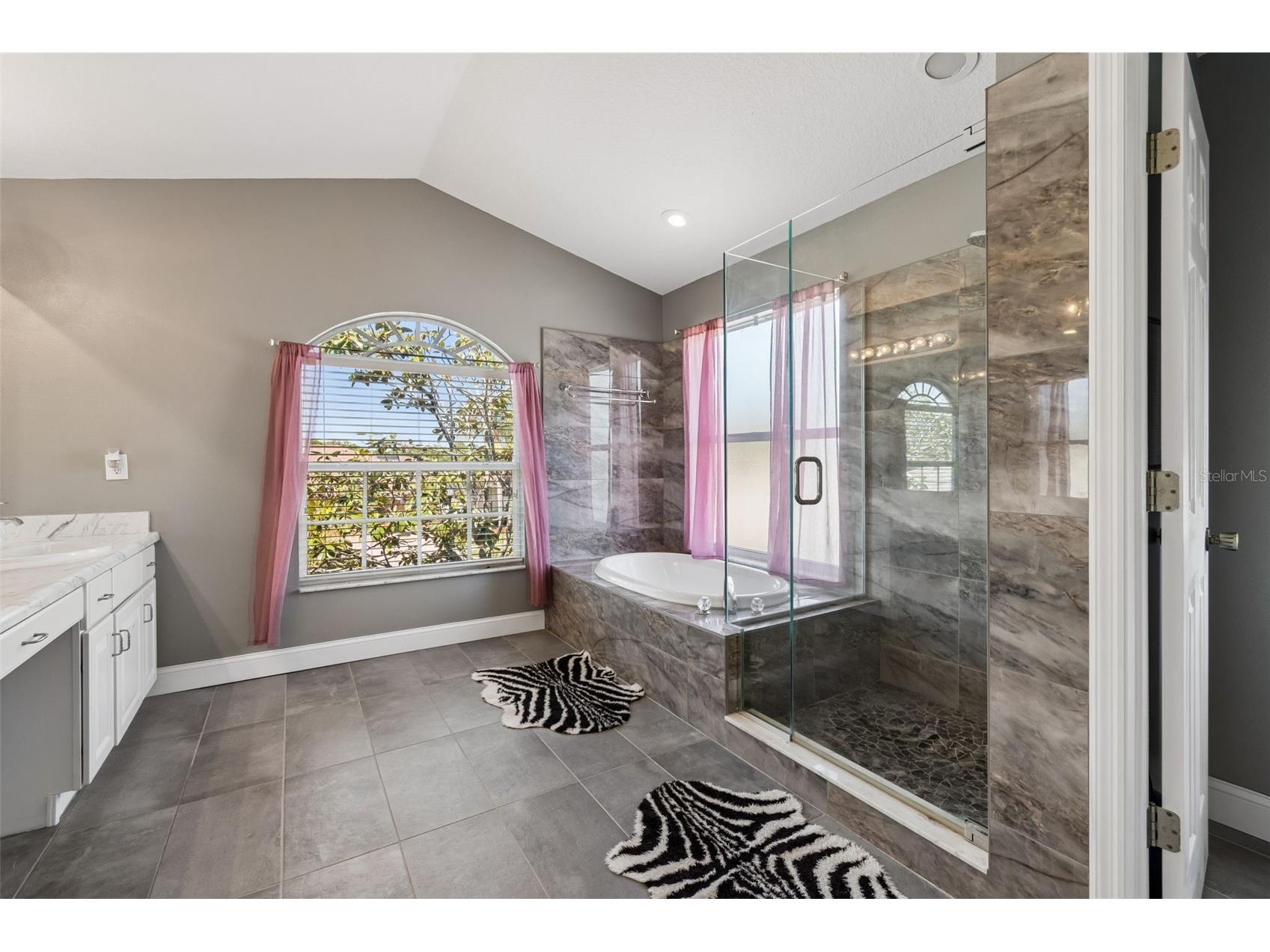 15911 Muirfield Drive Odessa FL 33556 TB8500709 image49