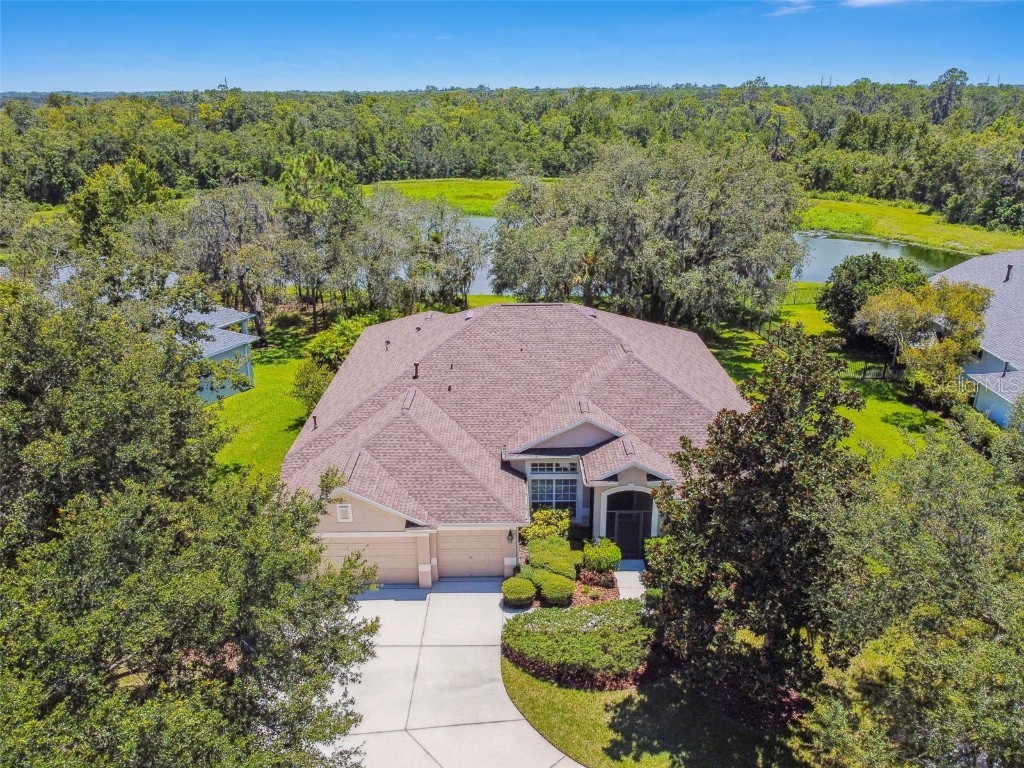 15911 Sorawater Drive Lithia FL 33547 T3464787 image1