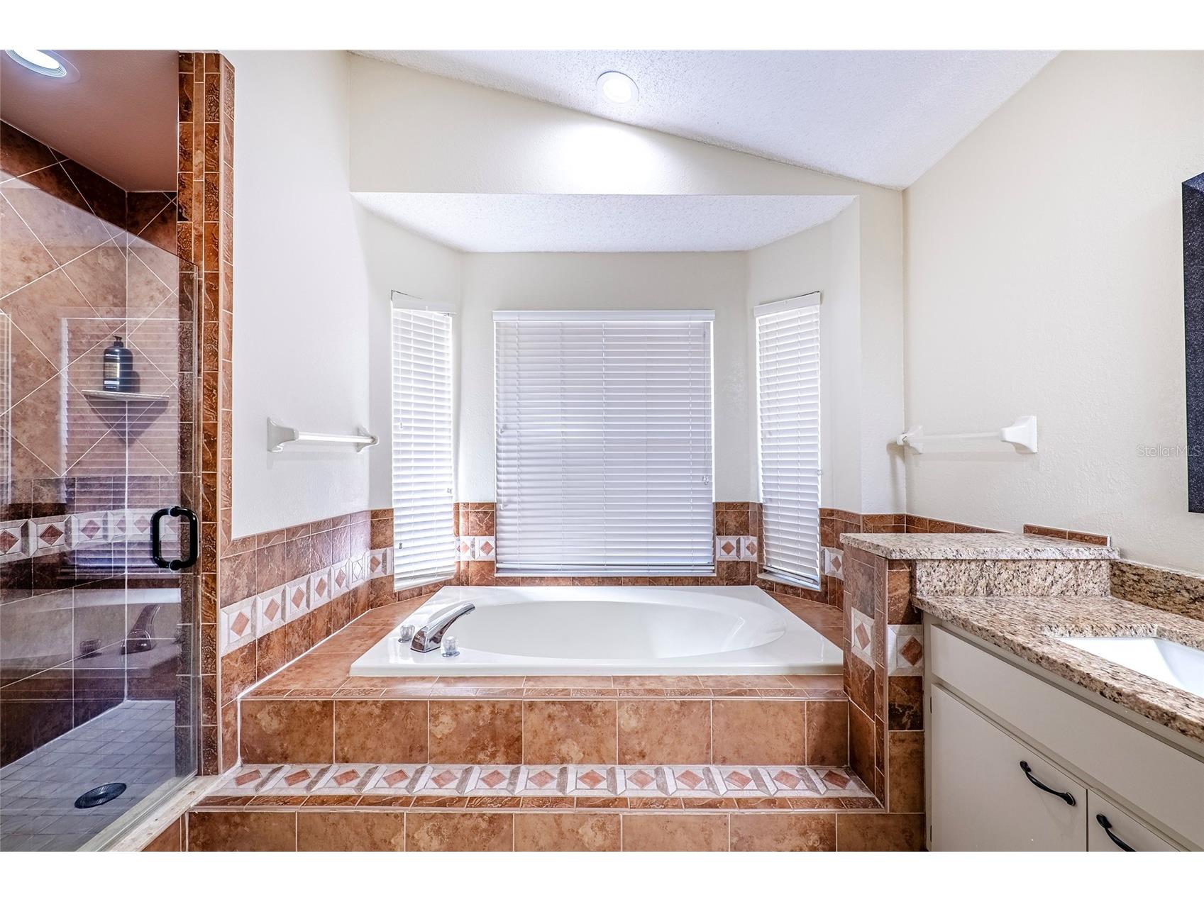 15912 Armistead Lane Odessa FL 33556 TB8473772 image28