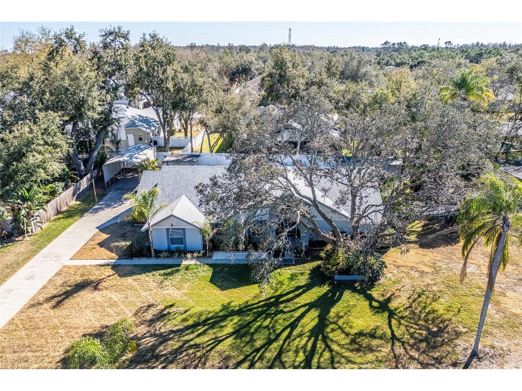 15912 Armistead Lane Odessa FL 33556 TB8473772 image3