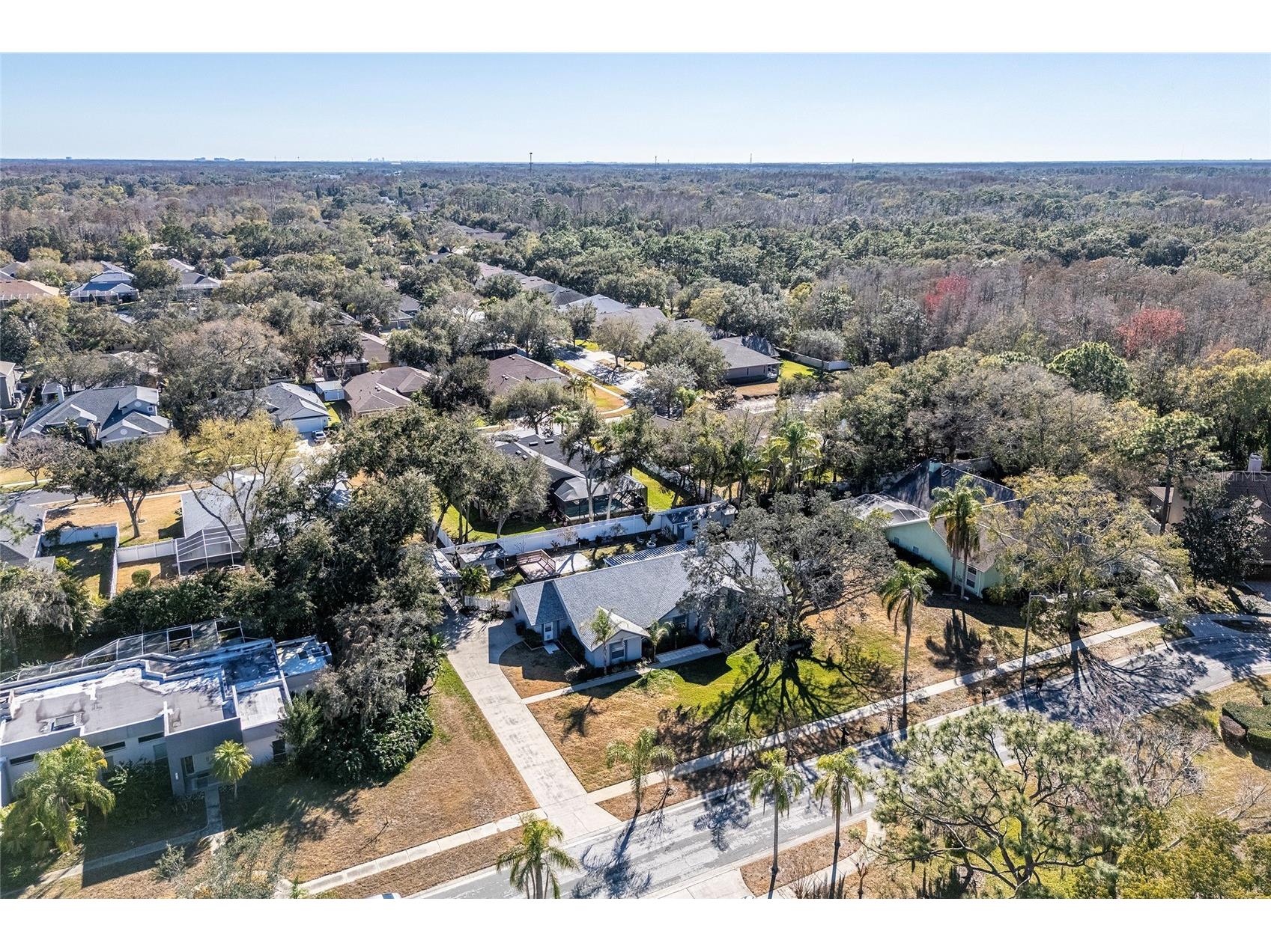 15912 Armistead Lane Odessa FL 33556 TB8473772 image5