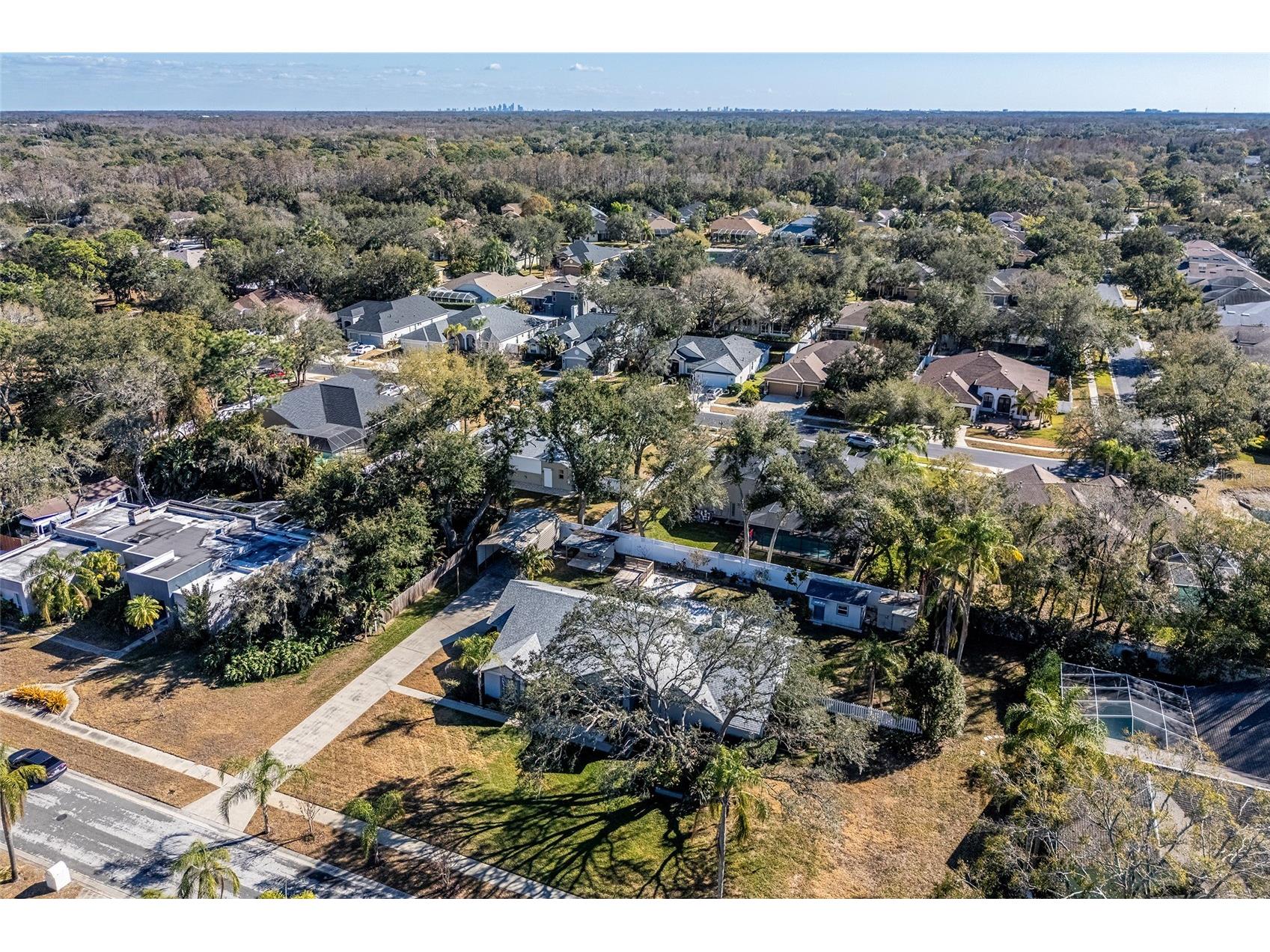 15912 Armistead Lane Odessa FL 33556 TB8473772 image6