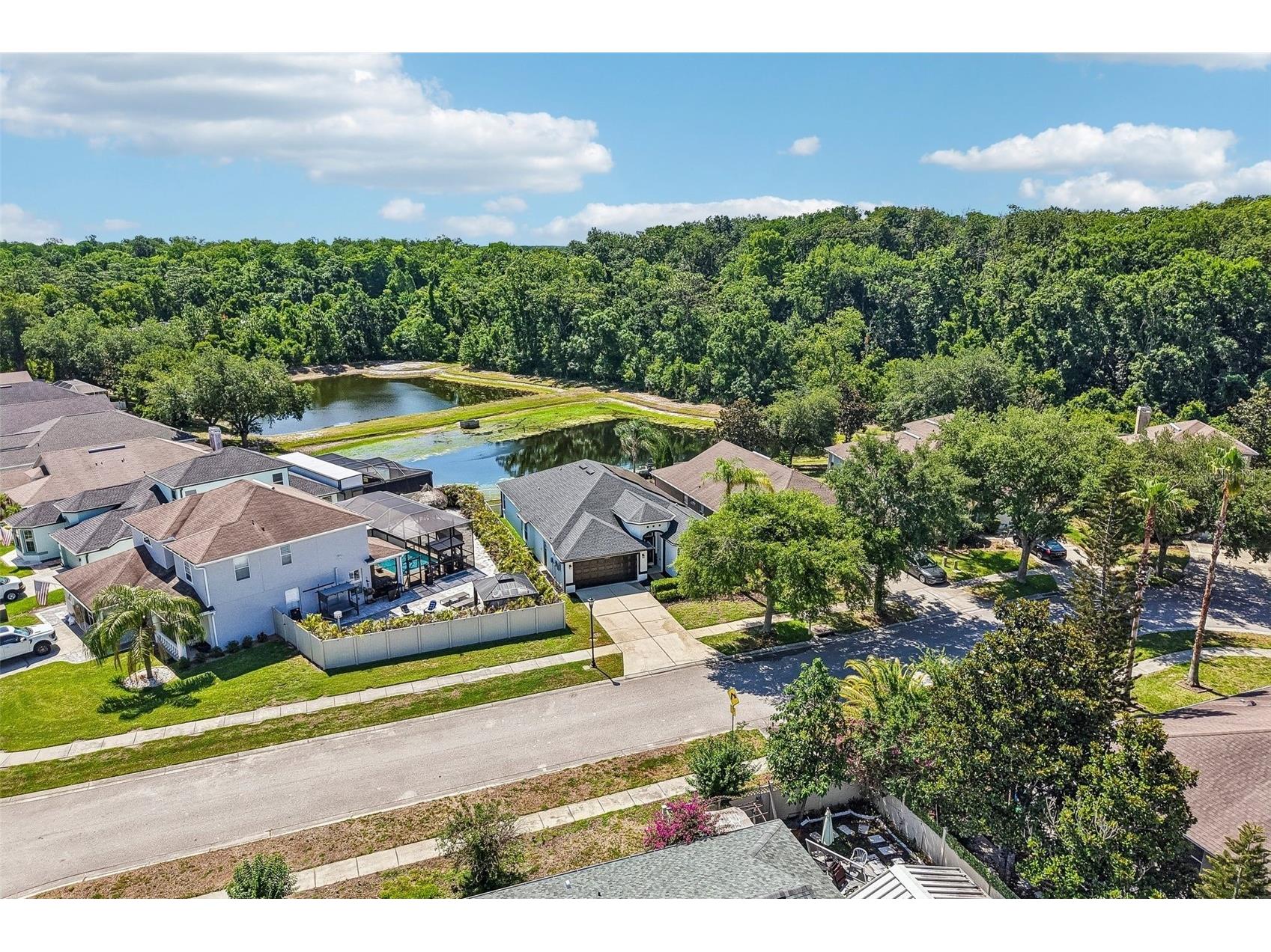 15914 Cedar Elm Terrace Land O Lakes FL 34638 TB8504680 image21