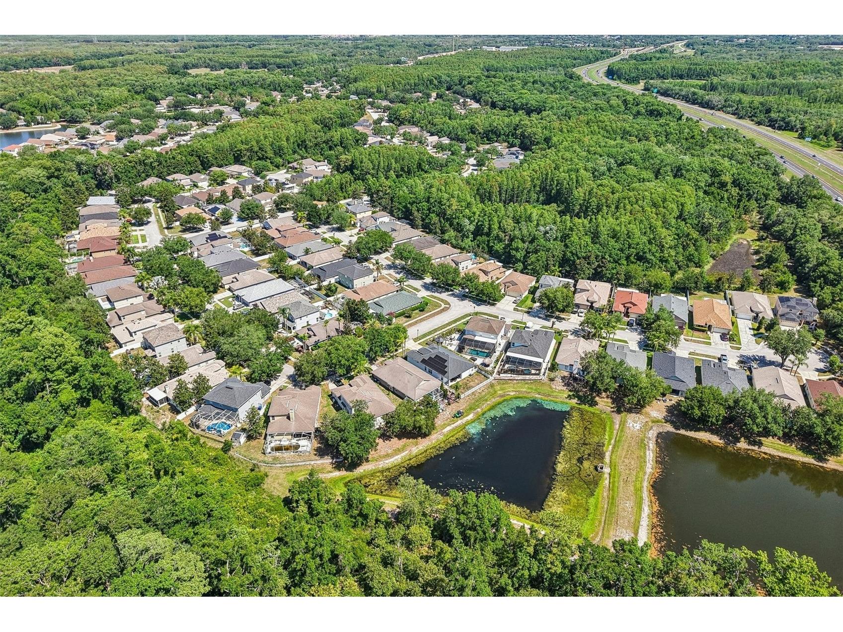 15914 Cedar Elm Terrace Land O Lakes FL 34638 TB8504680 image23