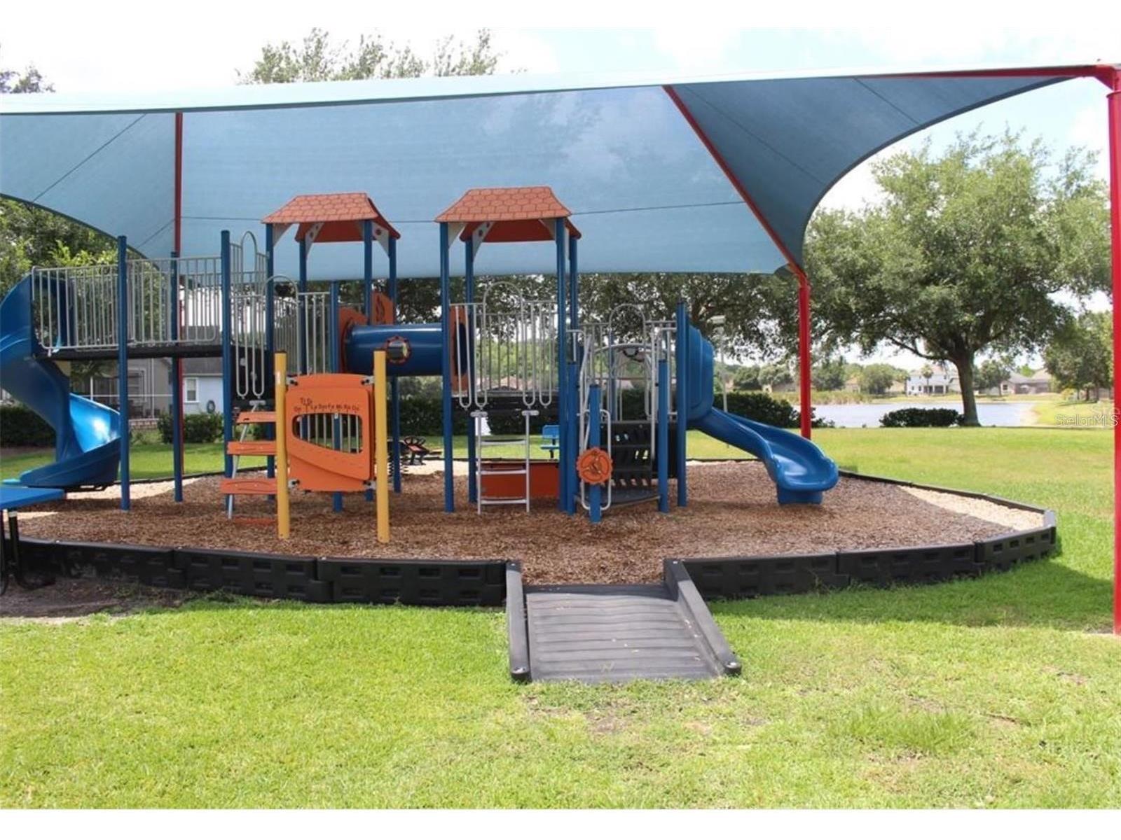 15914 Cedar Elm Terrace Land O Lakes FL 34638 TB8504680 image26