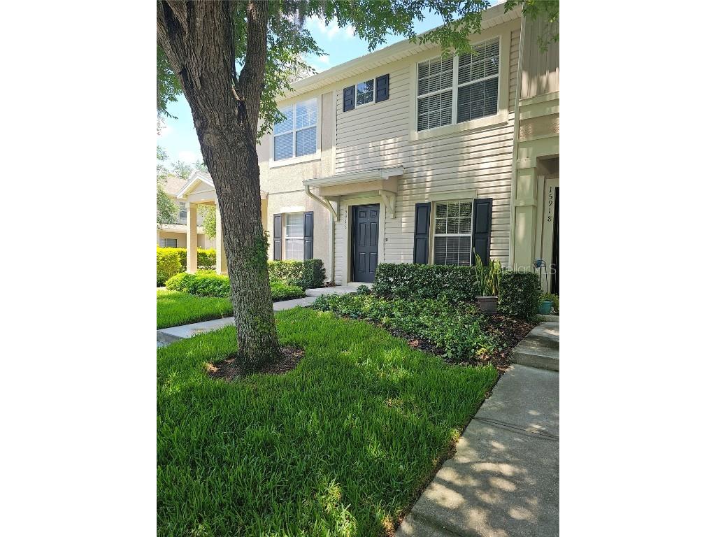 15916 Fishhawk View Drive Lithia FL 33547 T3520864 image1