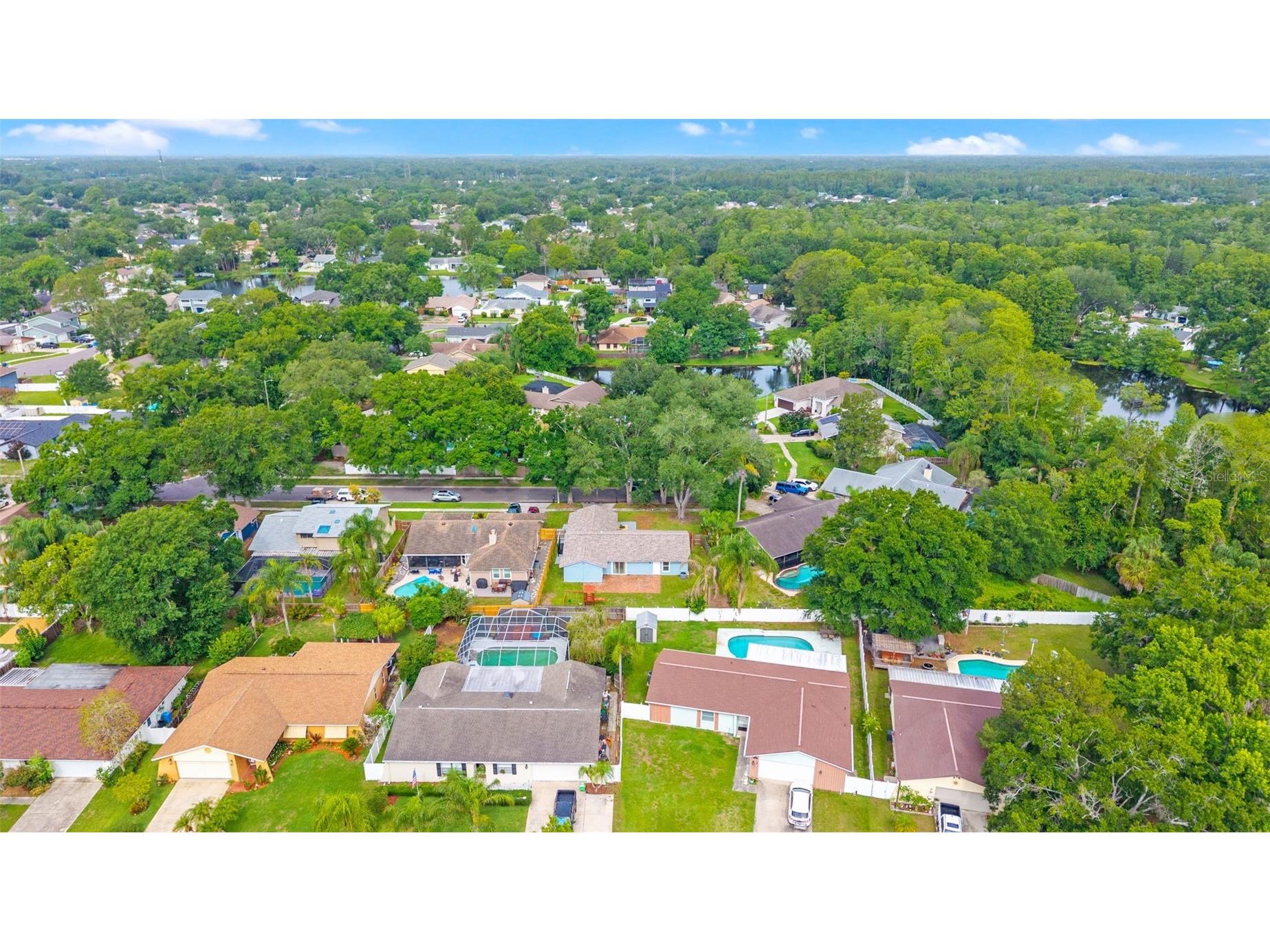 15917 Country Farm Place Tampa FL 33624 TB8515145 image47