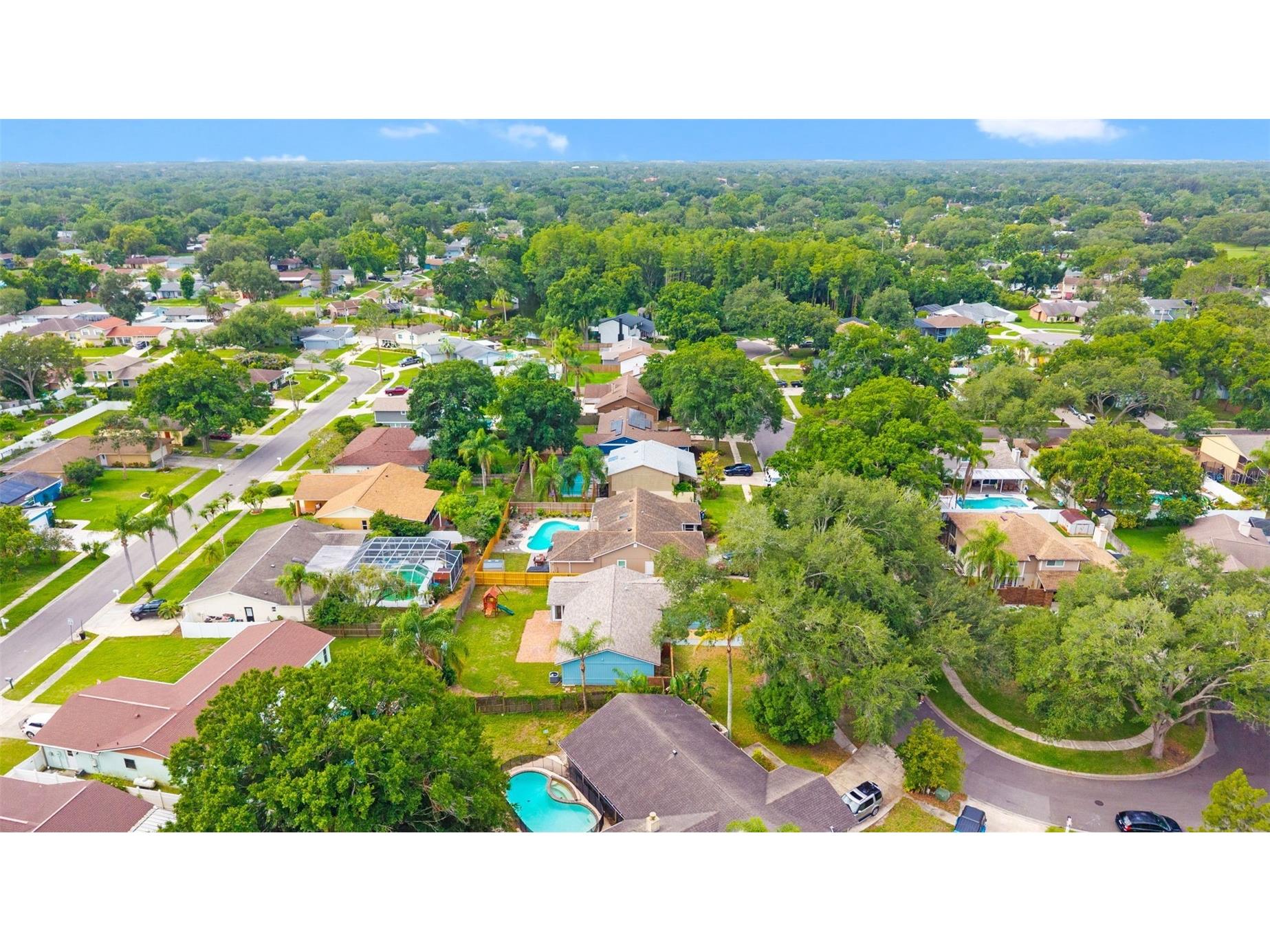15917 Country Farm Place Tampa FL 33624 TB8515145 image49