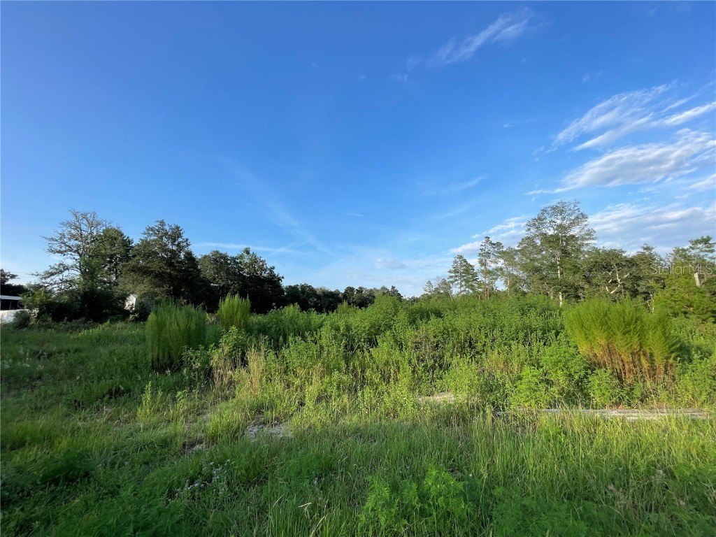 15917 SW 29th Court Road Ocala FL 34473 OM662068 image1