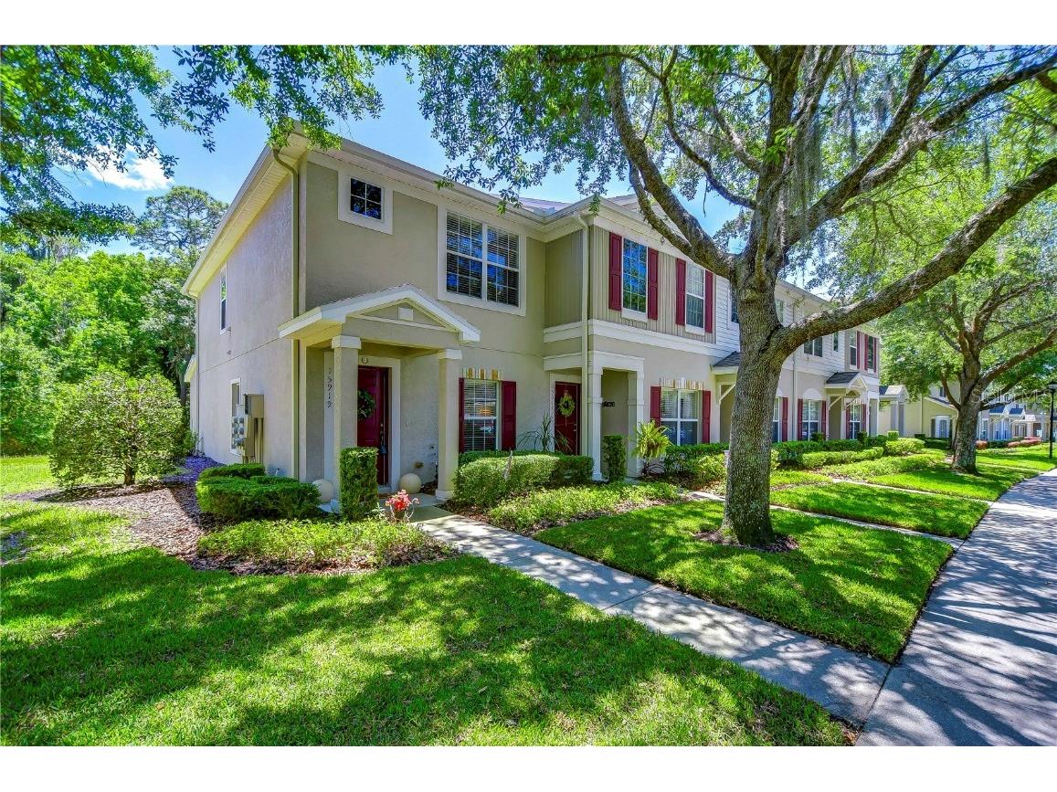 15919 Fishhawk View Drive Lithia FL 33547 T3520745 image1