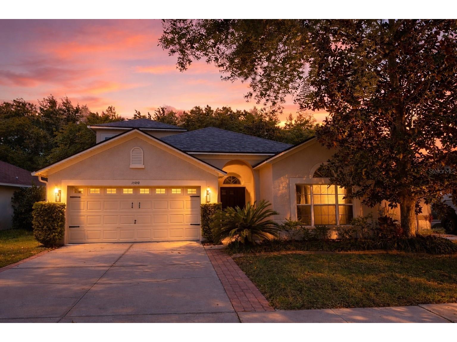 15919 Pond Rush Court Land O Lakes FL 34638 TB8480481 image1