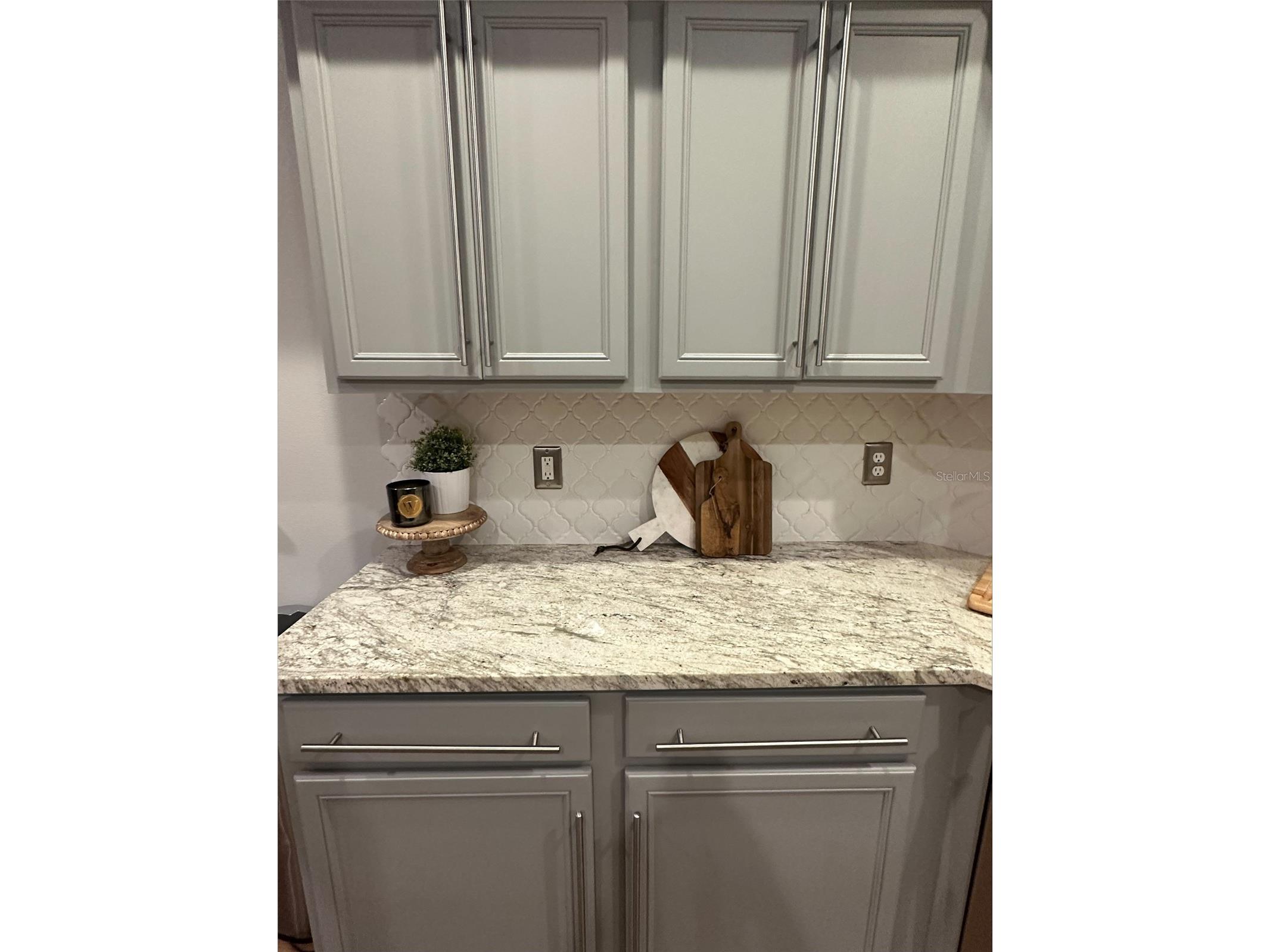 15919 Pond Rush Court Land O Lakes FL 34638 TB8480481 image10