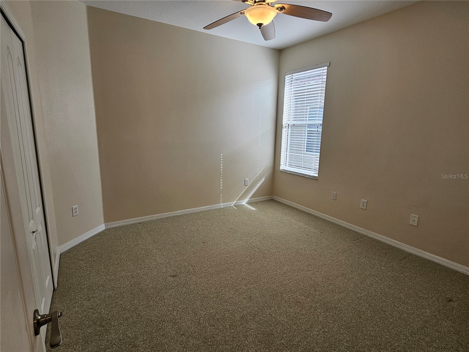 15919 Pond Rush Court Land O Lakes FL 34638 TB8480481 image15