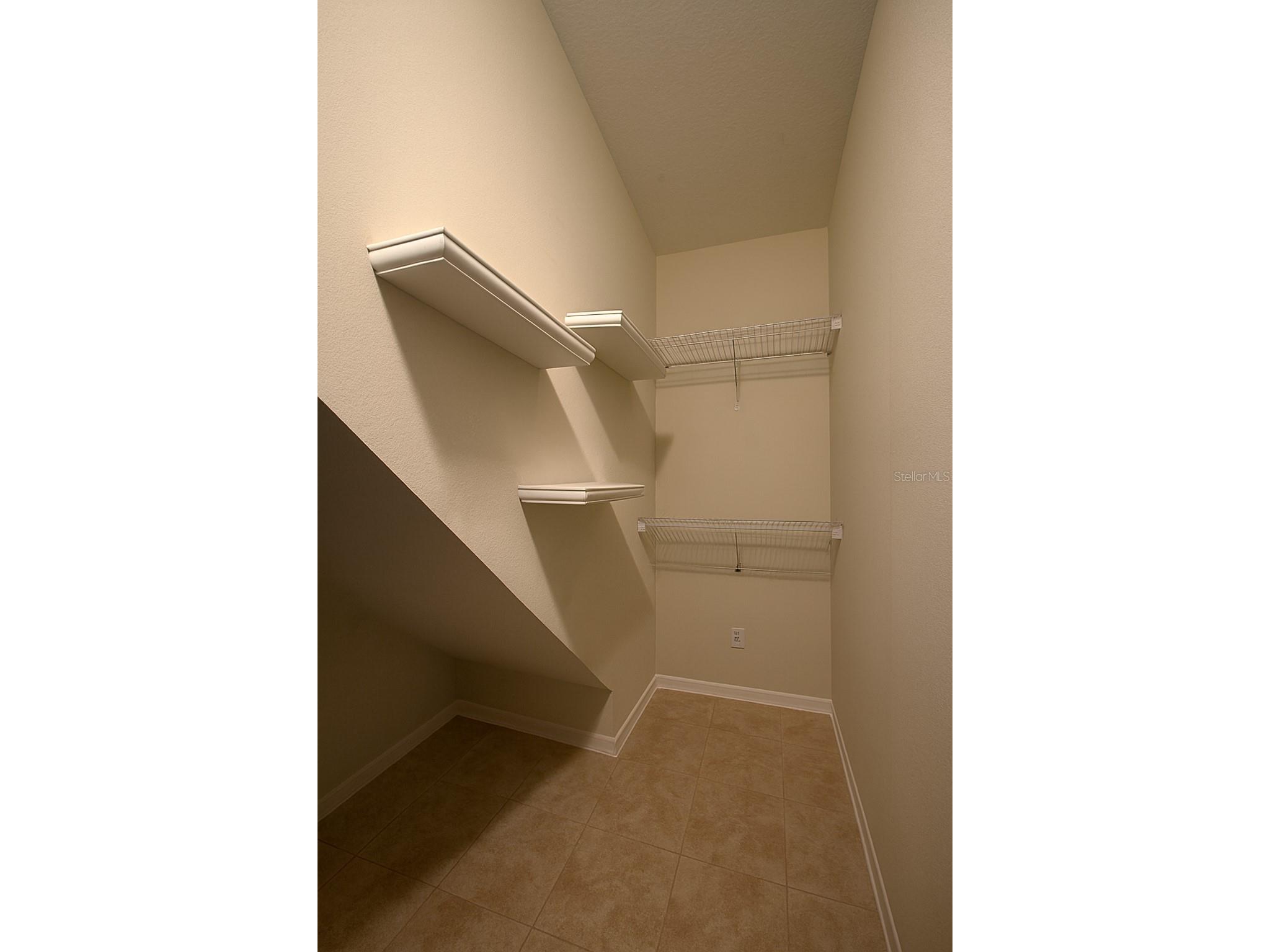 15919 Pond Rush Court Land O Lakes FL 34638 TB8480481 image24