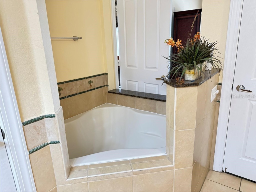 1592 Heritage Crossing Court #202 Reunion FL 34747 S5128624 image18