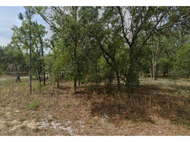 1592 W Swanson Drive Citrus Springs FL 34434 A4596103 image1