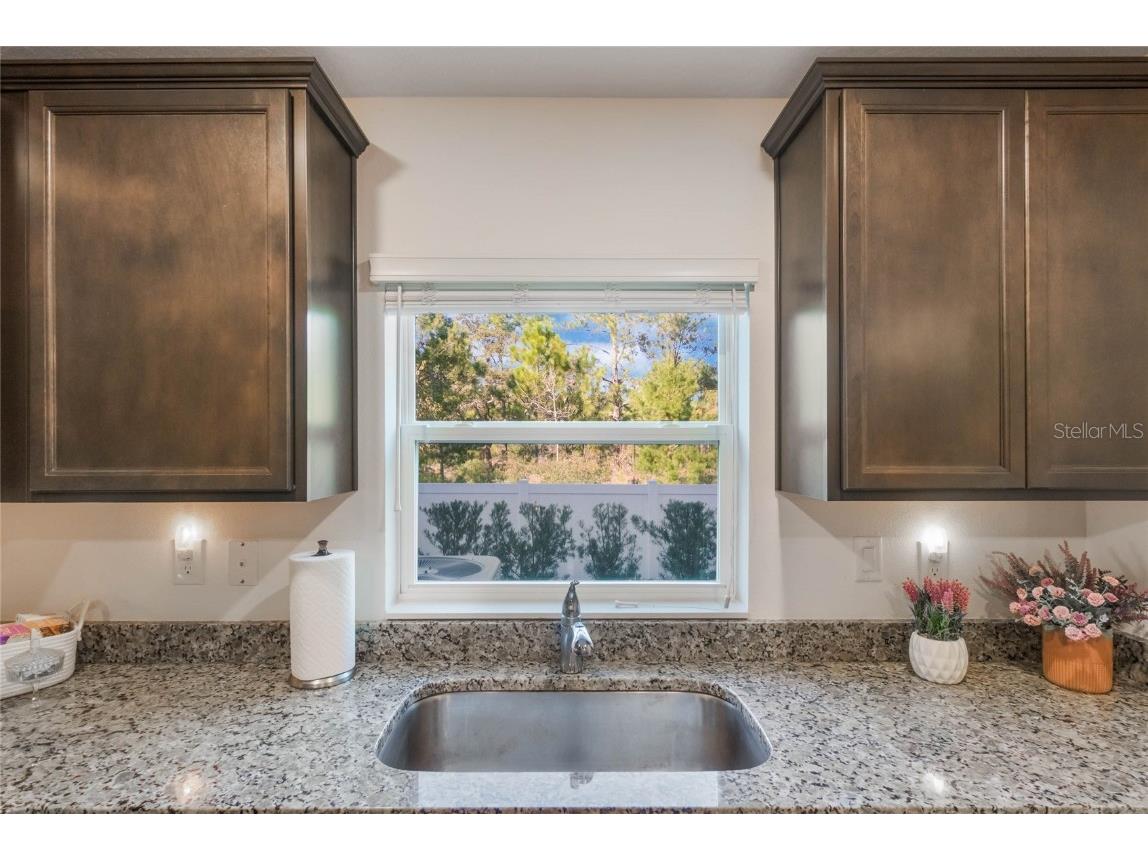 1592 Wynford Circle Tavares FL 32778 O6260179 image15