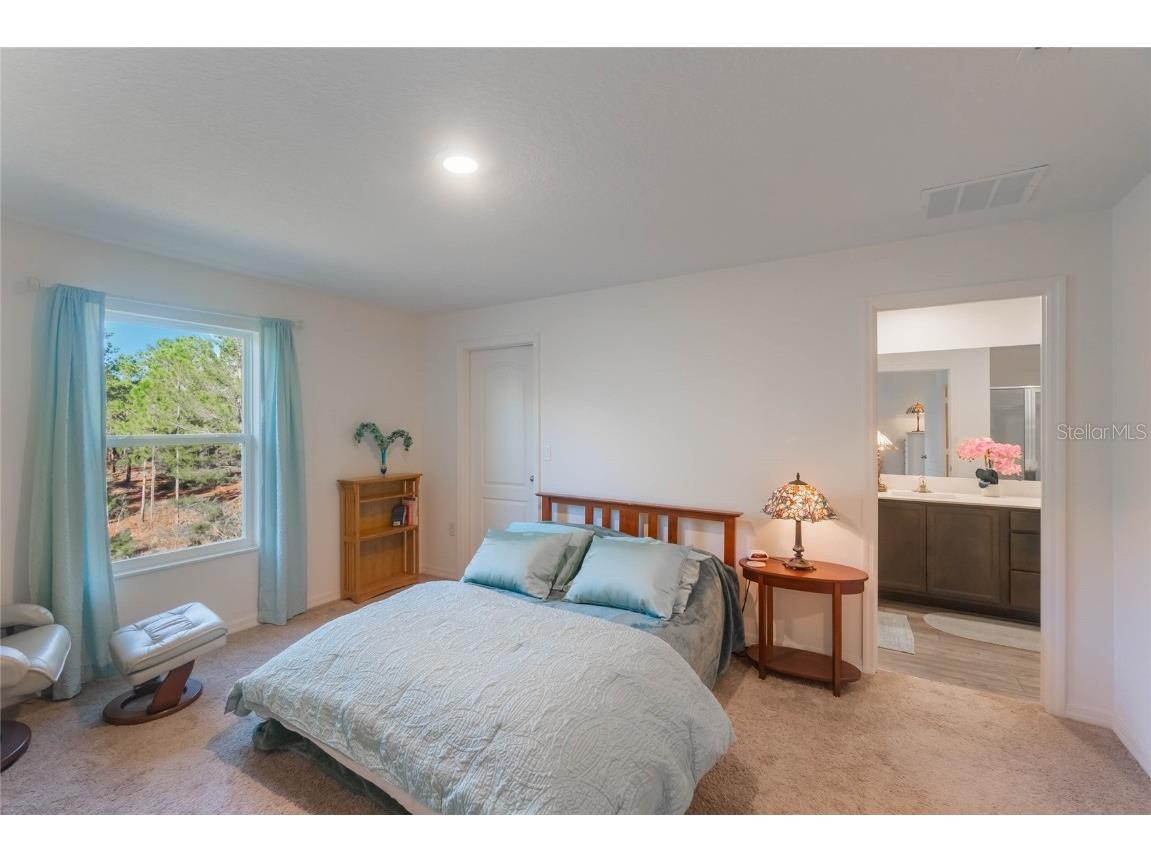 1592 Wynford Circle Tavares FL 32778 O6260179 image20