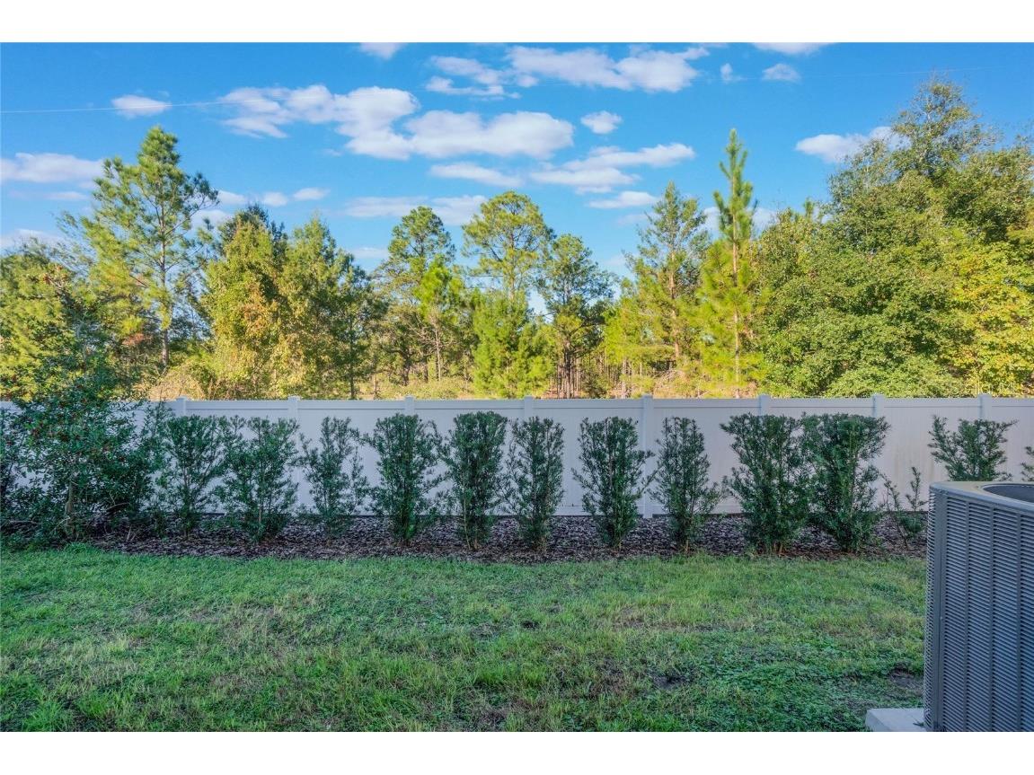 1592 Wynford Circle Tavares FL 32778 O6260179 image35