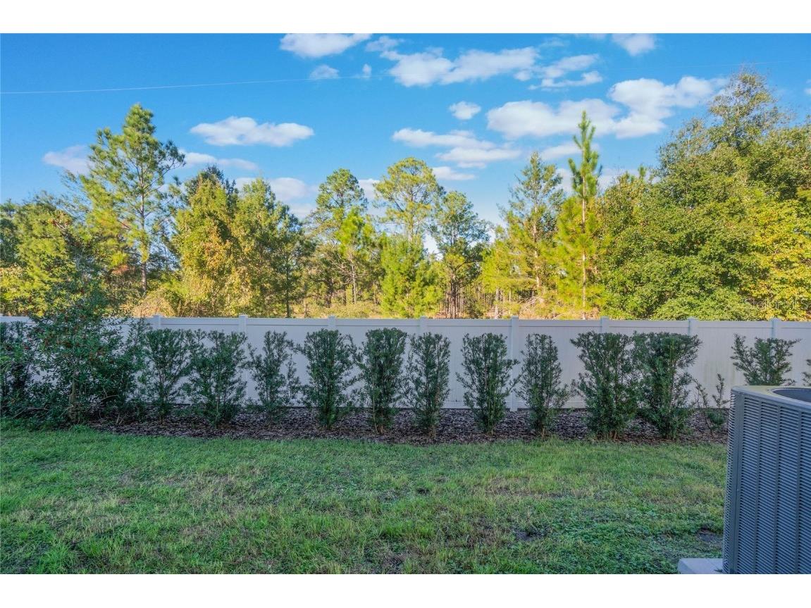 1592 Wynford Circle Tavares FL 32778 O6260179 image36