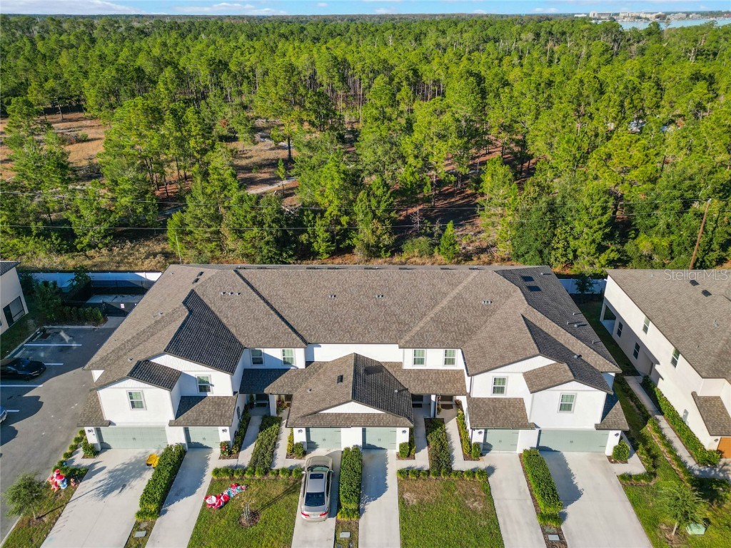 1592 Wynford Circle Tavares FL 32778 O6260179 image39