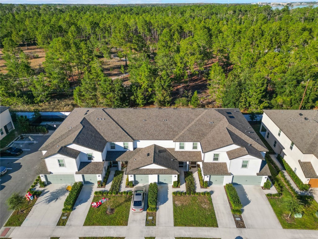 1592 Wynford Circle Tavares FL 32778 O6260179 image41