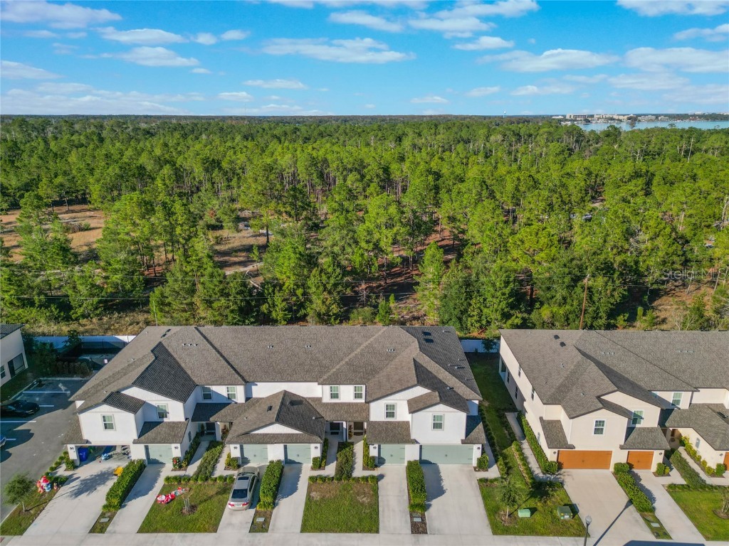 1592 Wynford Circle Tavares FL 32778 O6260179 image44