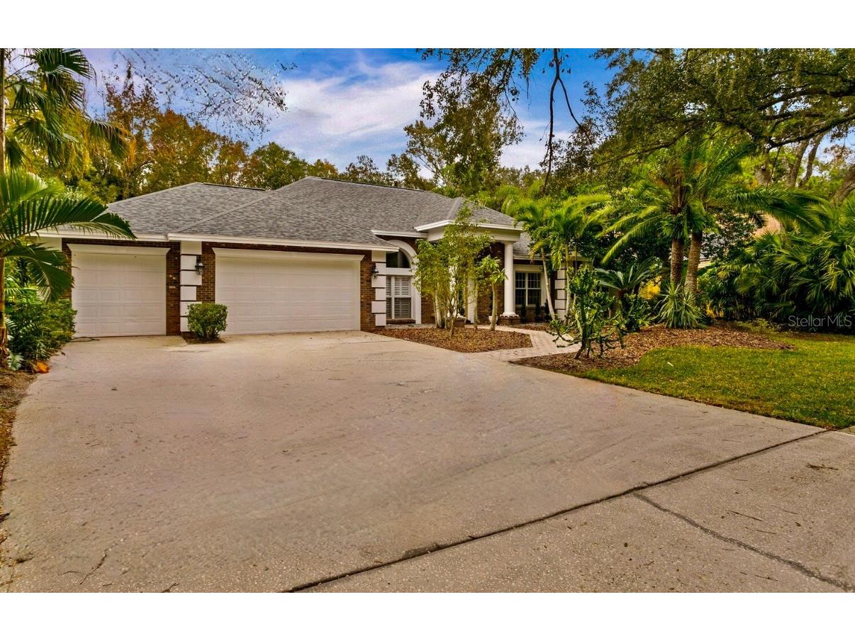 15920 Dawson Ridge Drive Tampa FL 33647 T3491731 image1