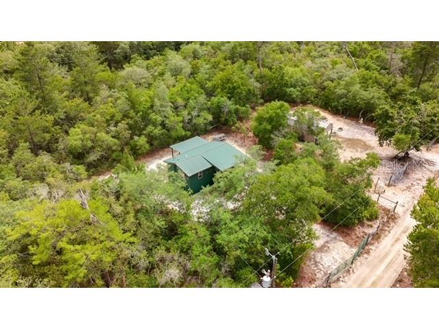 15920 NE 236th Lane Fort Mc Coy FL 32134 OM726212 image17