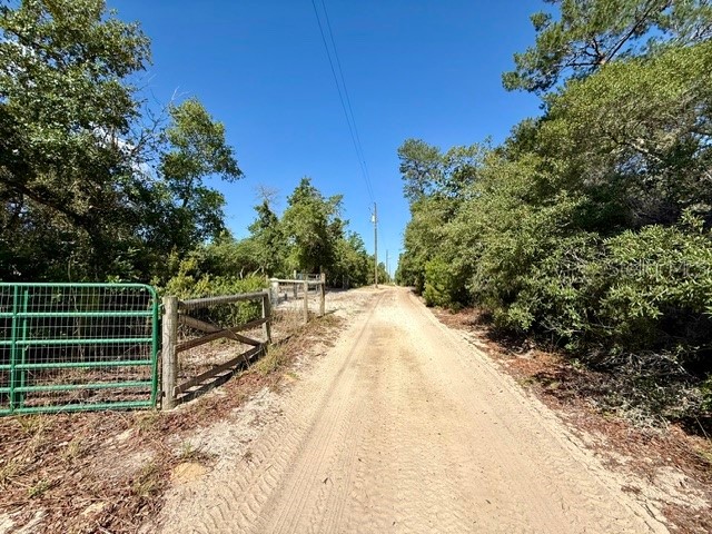 15920 NE 236th Lane Fort Mc Coy FL 32134 OM726212 image19