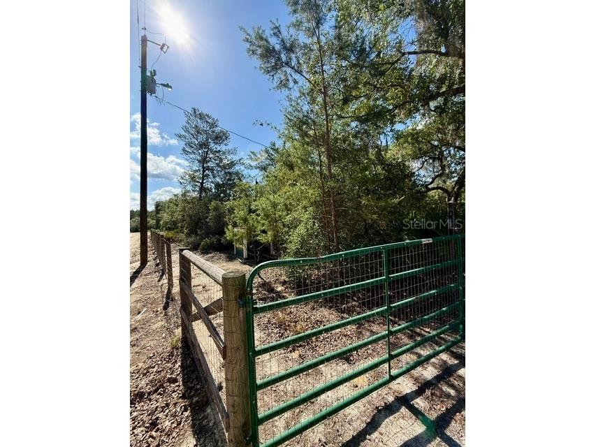 15920 NE 236th Lane Fort Mc Coy FL 32134 OM726212 image20