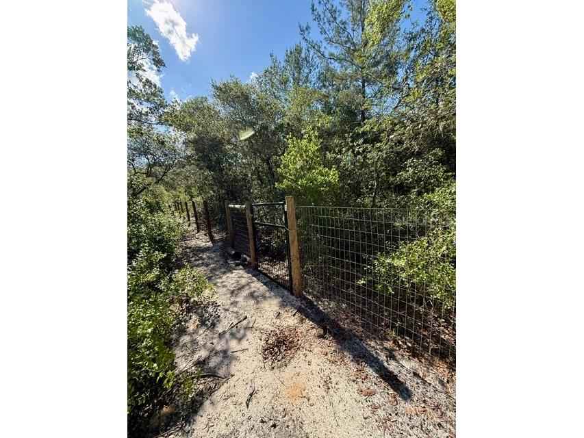 15920 NE 236th Lane Fort Mc Coy FL 32134 OM726212 image21
