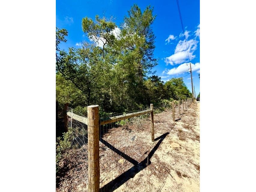 15920 NE 236th Lane Fort Mc Coy FL 32134 OM726212 image23