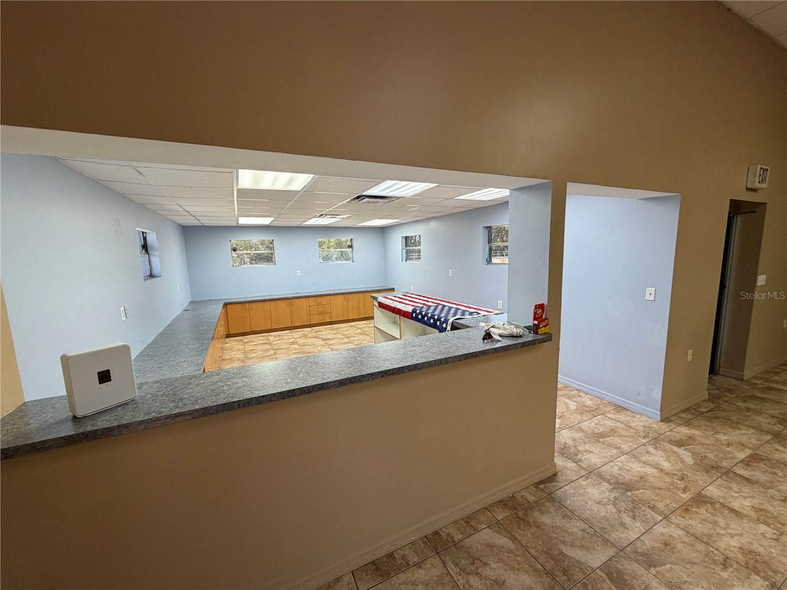 15921 N Florida Avenue Lutz FL 33549 TB8515324 image10