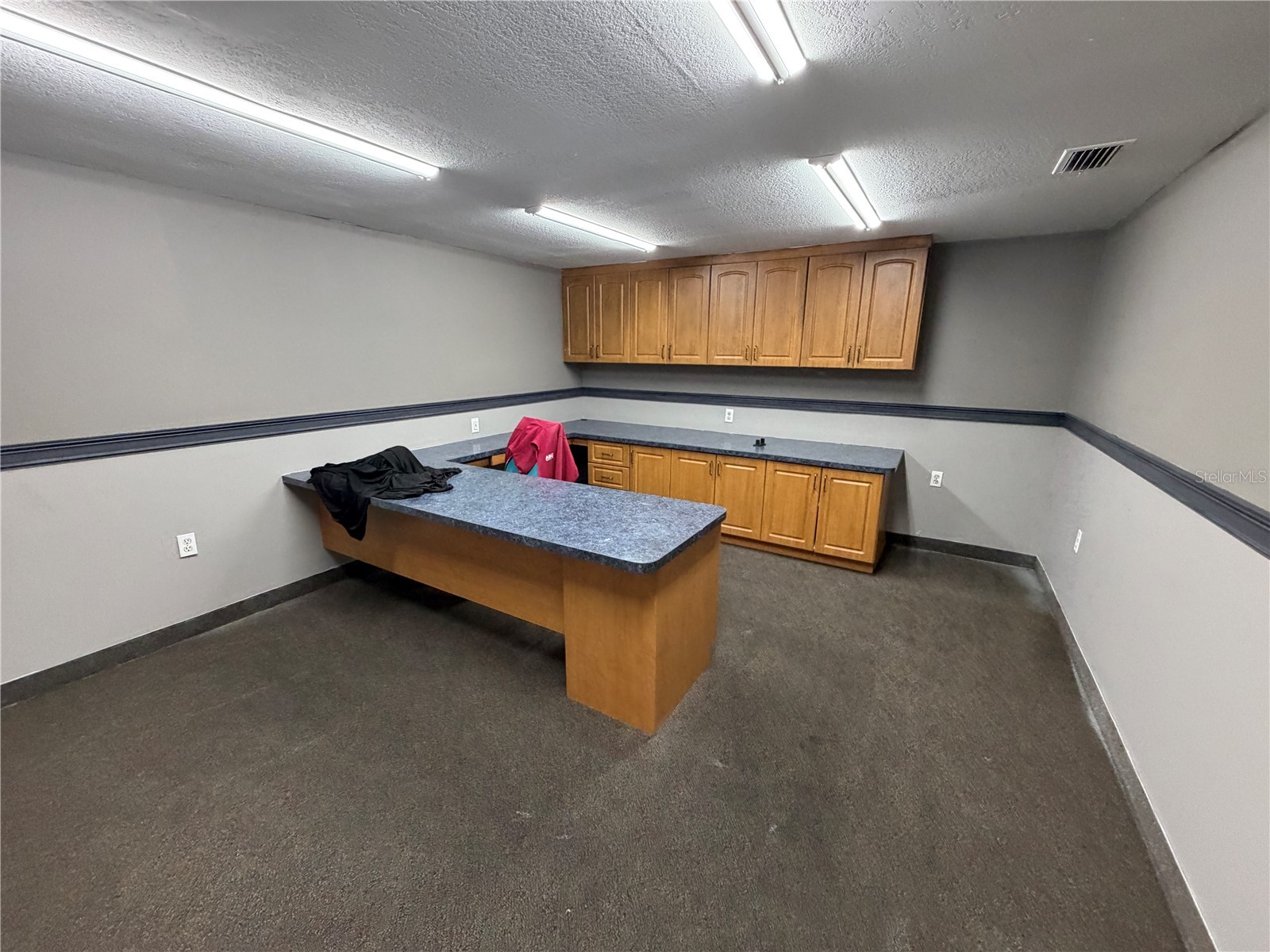 15921 N Florida Avenue Lutz FL 33549 TB8515324 image12