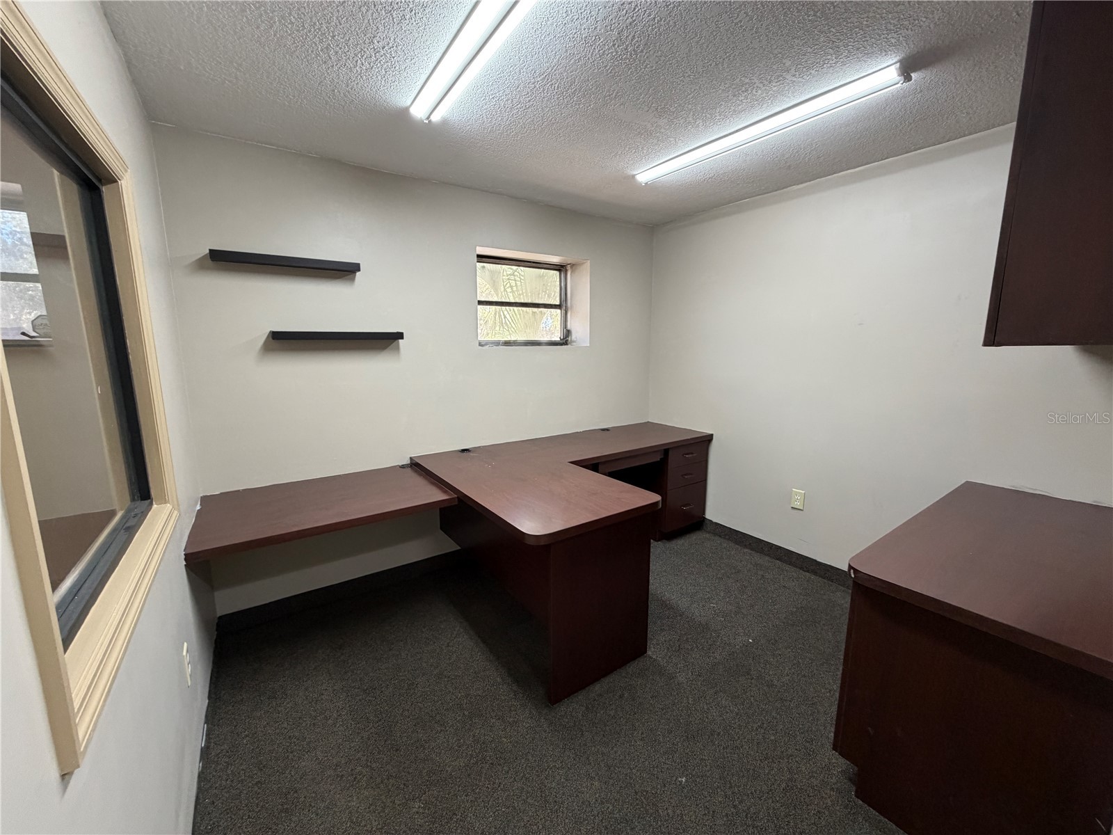 15921 N Florida Avenue Lutz FL 33549 TB8515324 image14